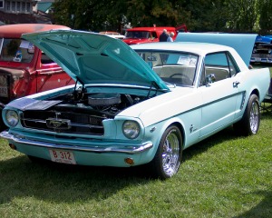picture of a mustang